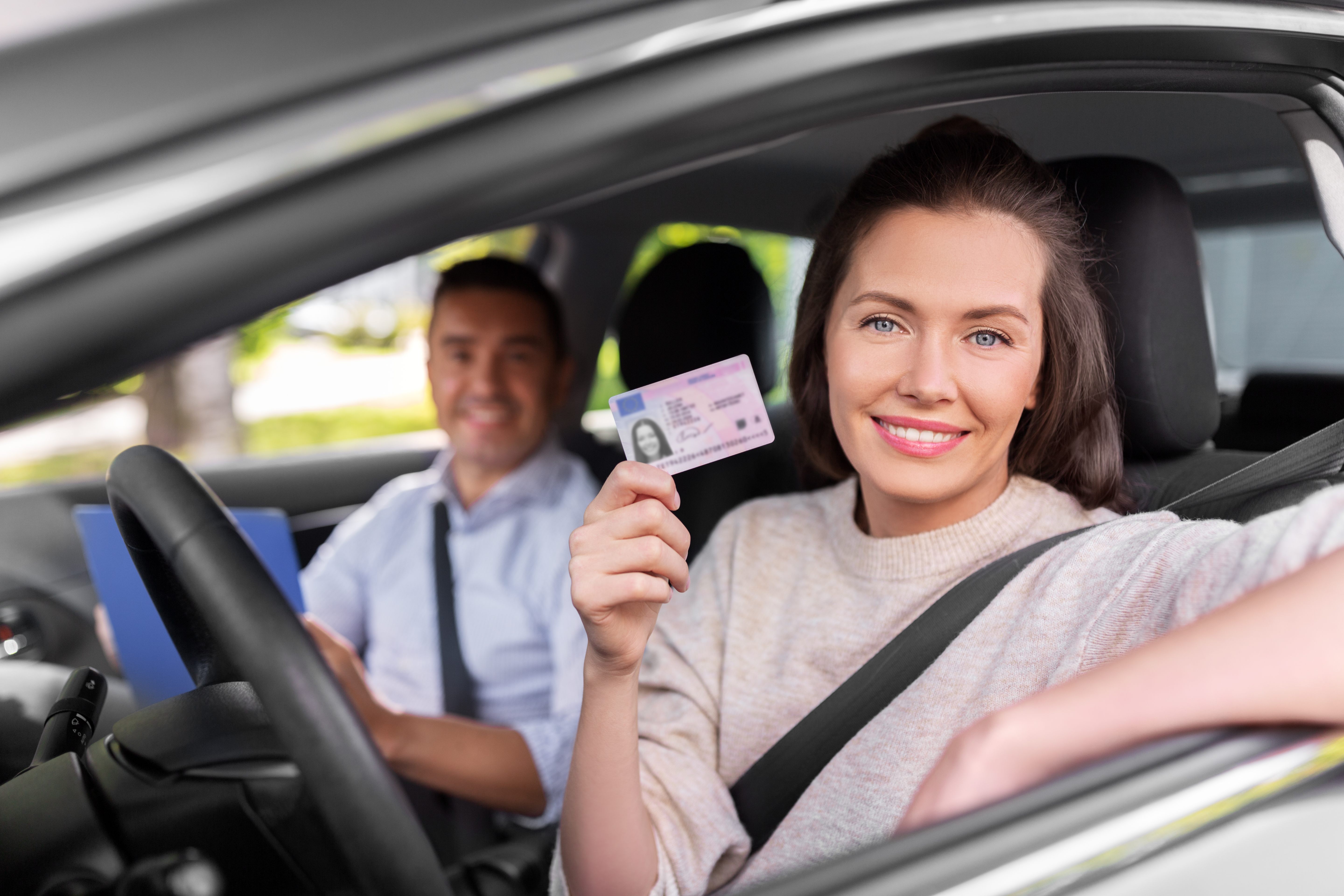 Professional licensed drivers